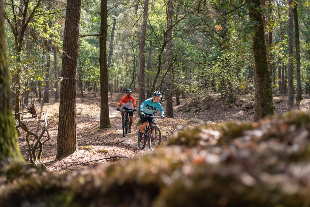 Mountain Biking In Drenthe - Camping De Berken