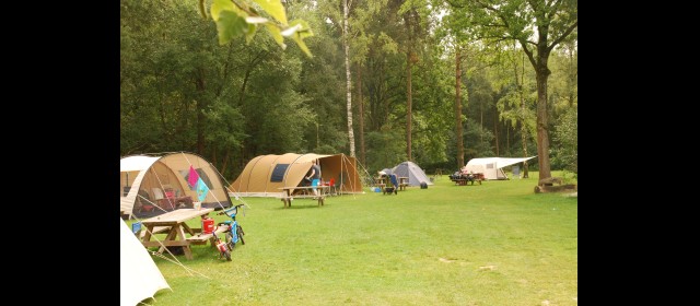 Camping met tentenveld.JPG